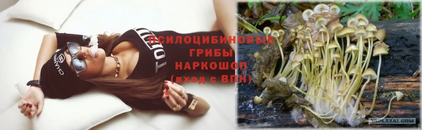 spice Алзамай