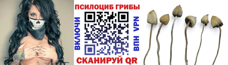 Галлюциногенные грибы мухоморы  hydra зеркало  Апрелевка  дарнет шоп 